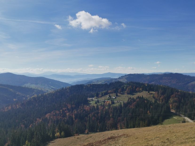  - Bucovina