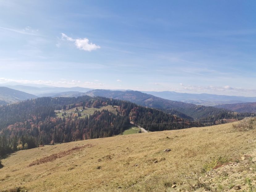  - Bucovina