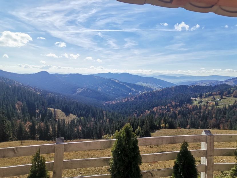  - Bucovina