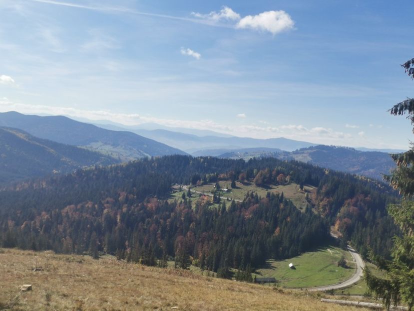  - Bucovina