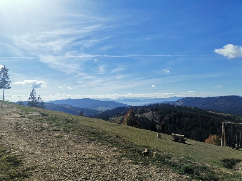  - Bucovina