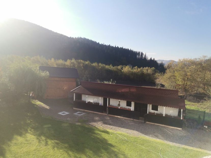  - Bucovina