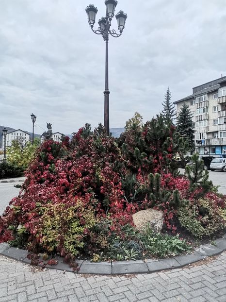  - Bucovina