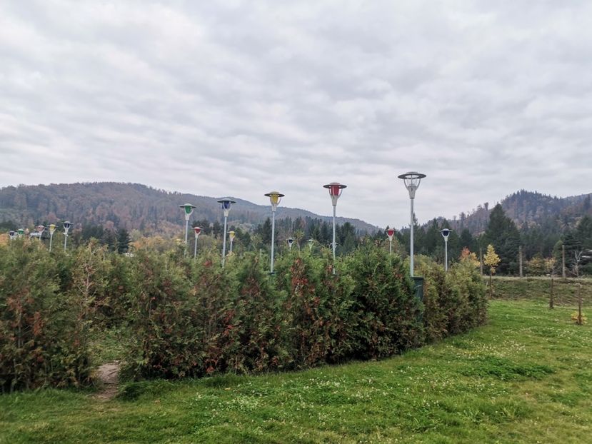 - Bucovina