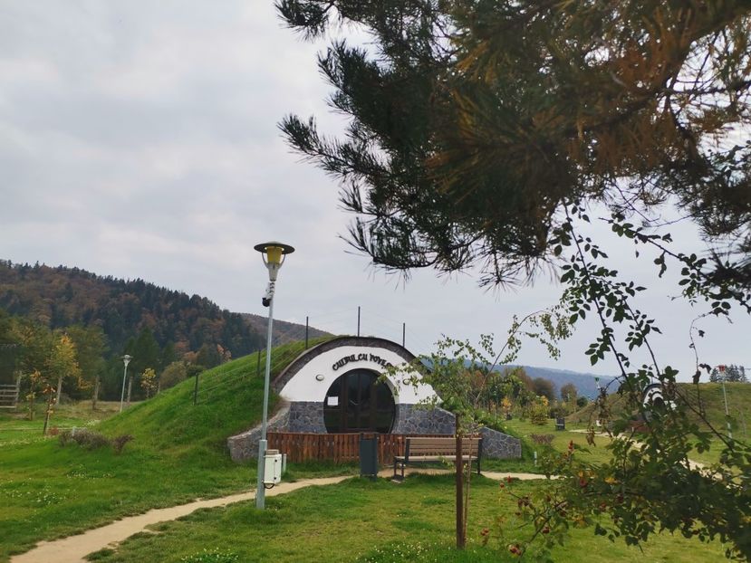  - Bucovina