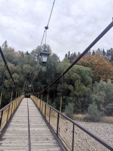  - Bucovina
