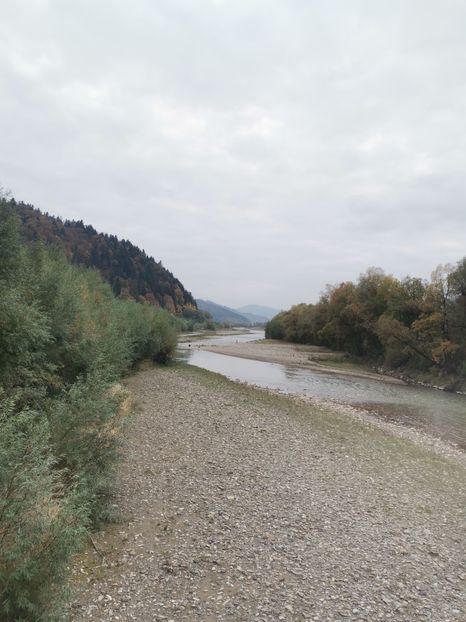  - Bucovina