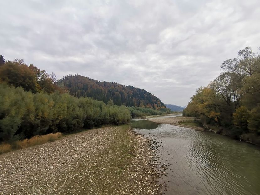  - Bucovina