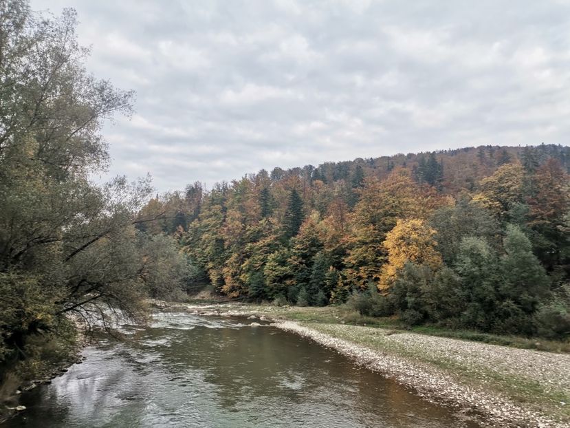  - Bucovina