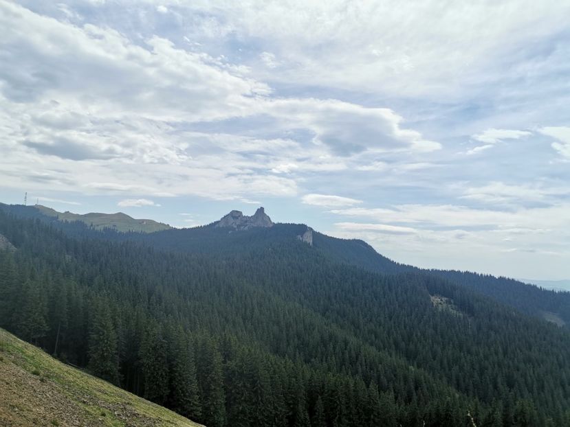  - Bucovina