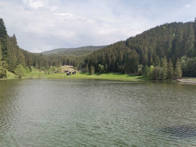  - Bucovina