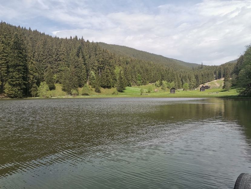  - Bucovina