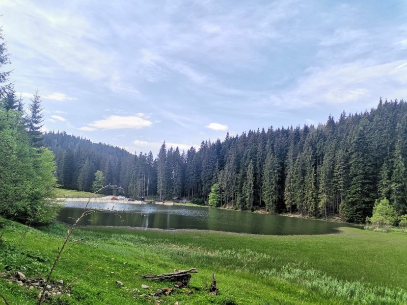  - Bucovina