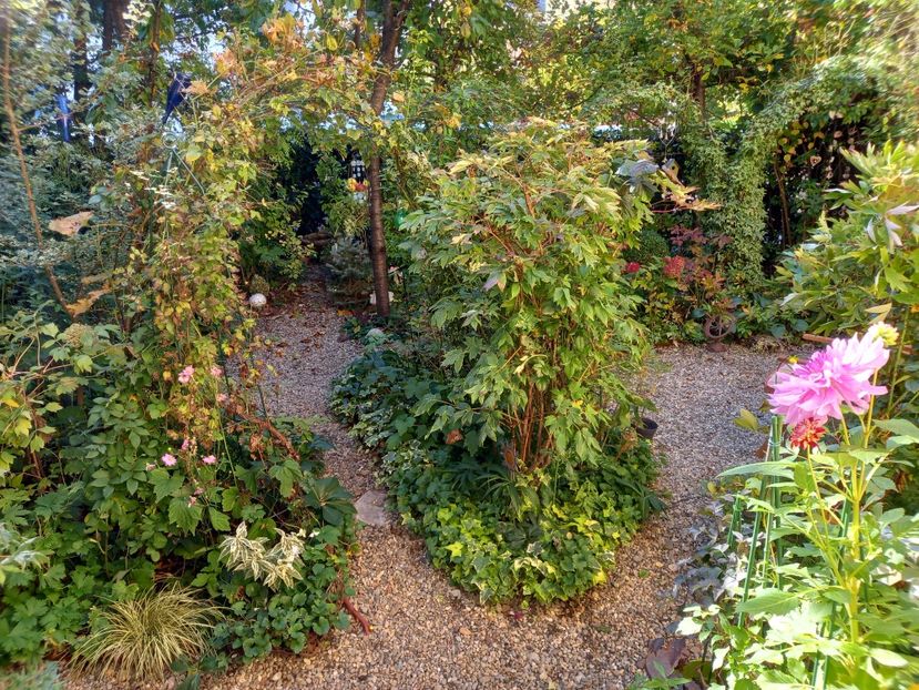 16.10.2022 - Grădina 2022 continuare 4