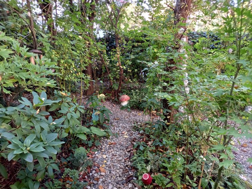  - Grădina 2022 continuare 4