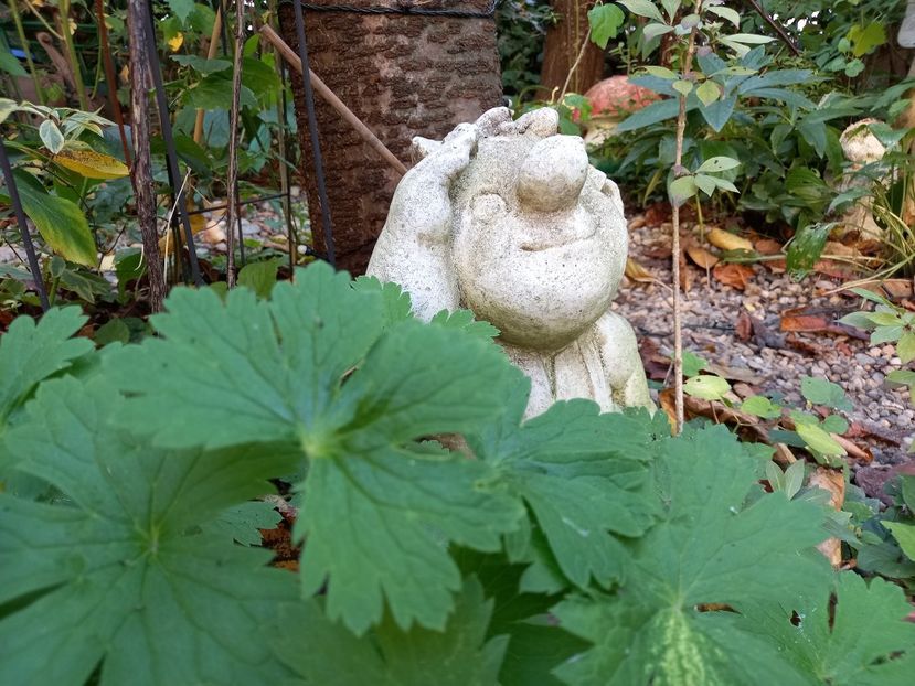  - Grădina 2022 continuare 4