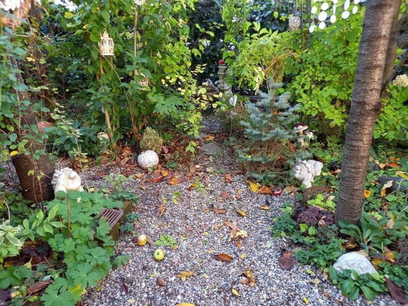  - Grădina 2022 continuare 4