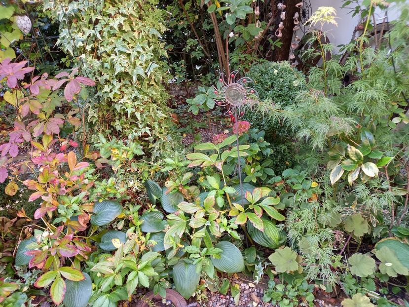  - Grădina 2022 continuare 4