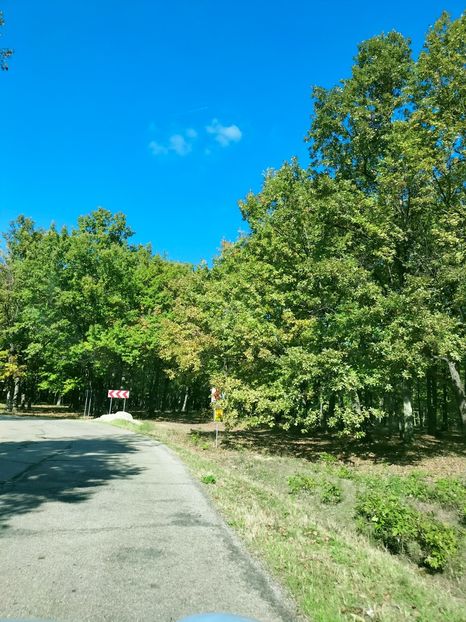 IMG20221016134612 - Octombrie 2022