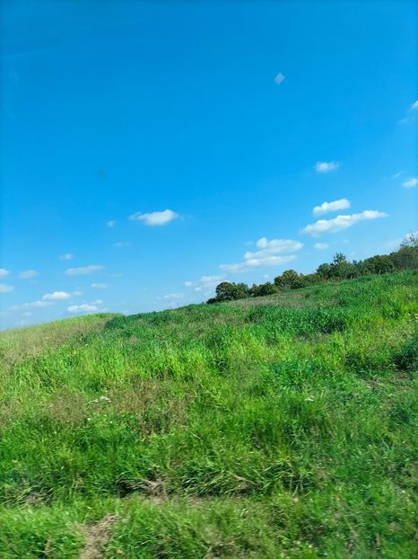 IMG20221016134147 - Octombrie 2022