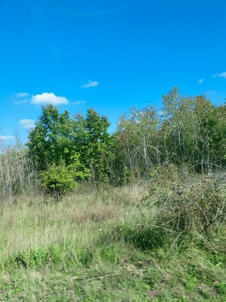 IMG20221016134126 - Octombrie 2022