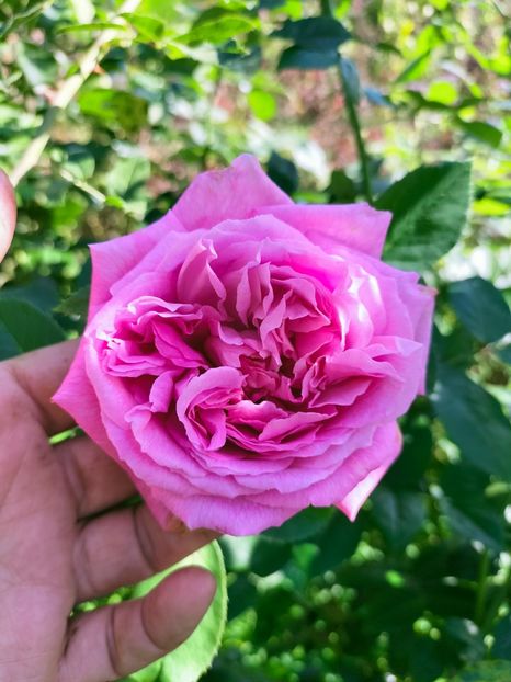 IMG20221016130647 - Octombrie 2022