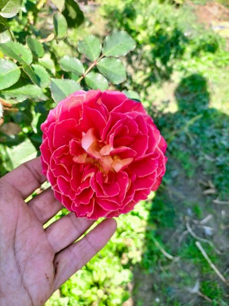 IMG20221016120404 - Octombrie 2022