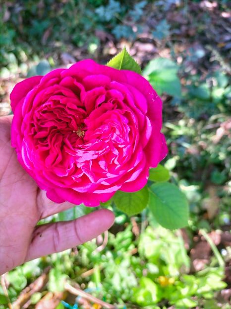 IMG20221016120253 - Octombrie 2022