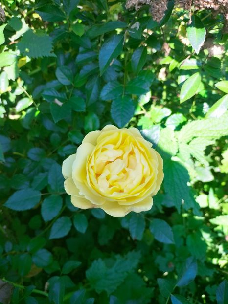 IMG20221016115738 - Octombrie 2022