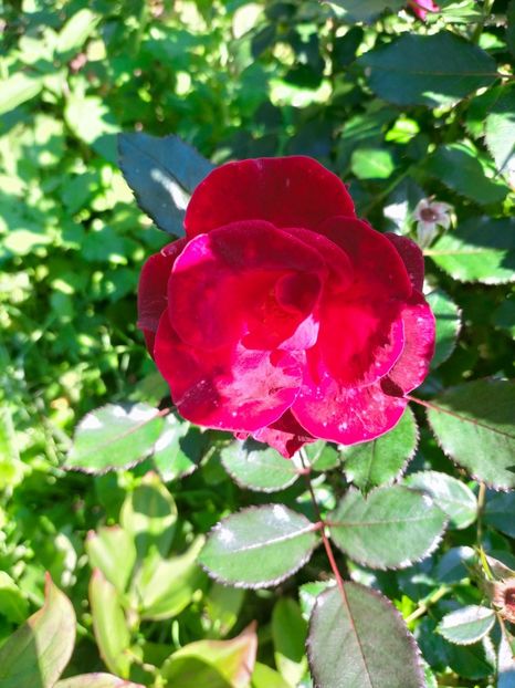 IMG20221016115644 - Octombrie 2022