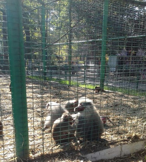 20221016_123446-1 - 2022