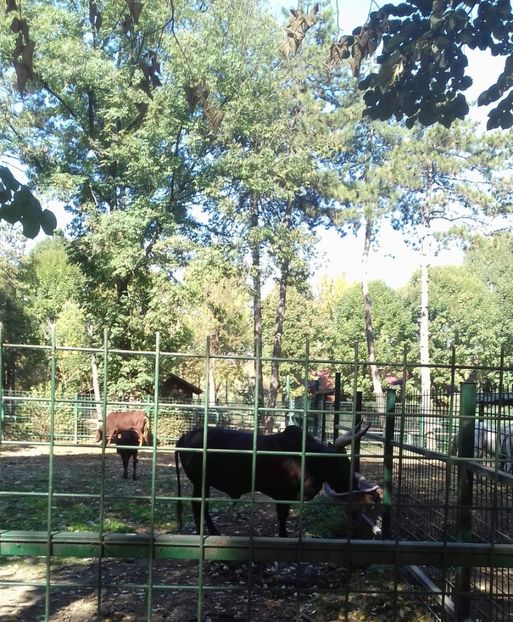 20221016_125222-1 - 2022