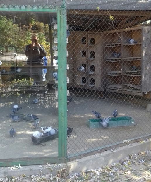 20221016_122412-1 - 2022