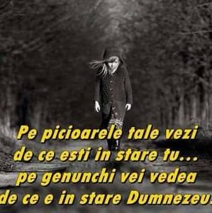  - peisaje
