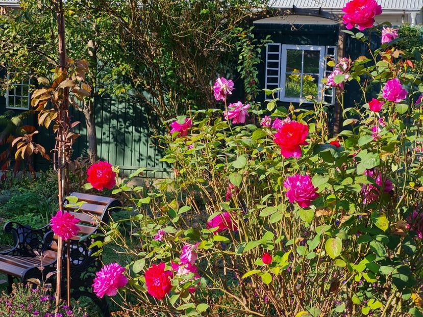  - 2022_Septembrie_Octombrie