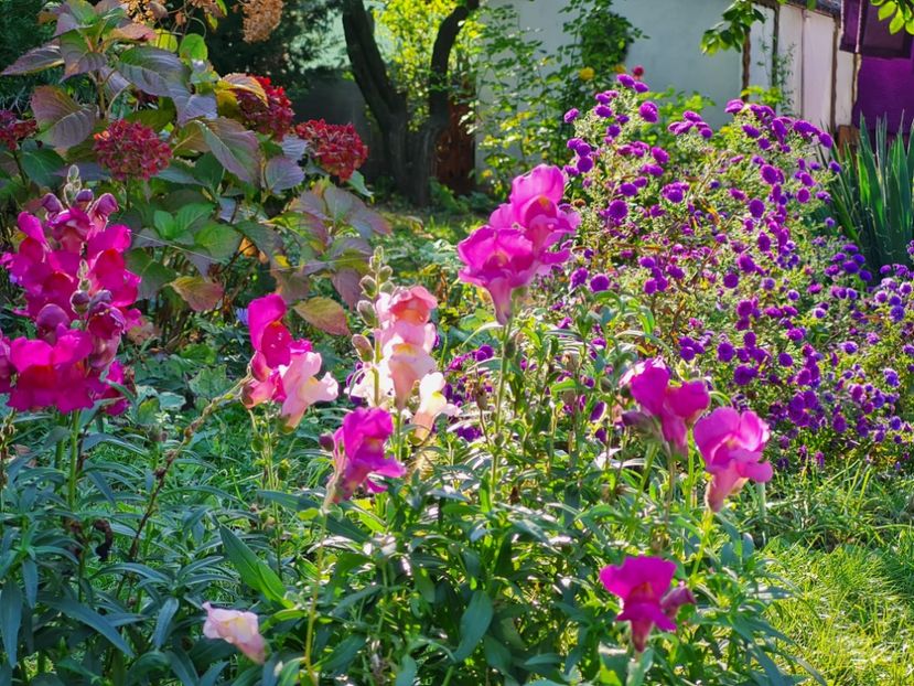  - 2022_Septembrie_Octombrie