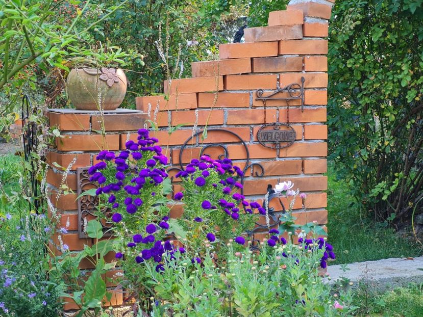  - 2022_Septembrie_Octombrie