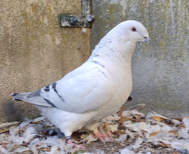 PL/22-A2371 ARCHIWUM - i- MLODE -2022- Youth