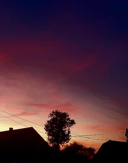  - Universul si Natura