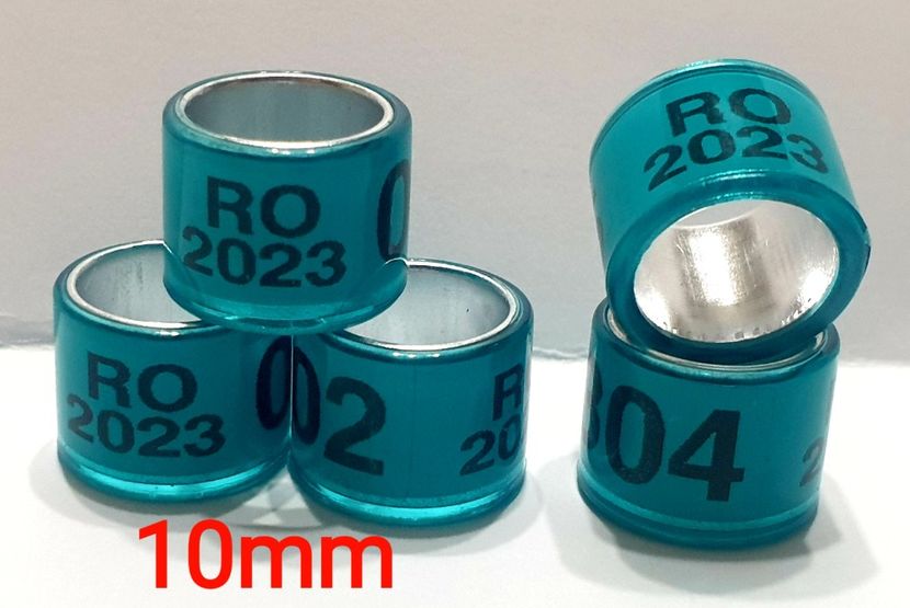  - 0-Inele porumbei 2024 de vanzare