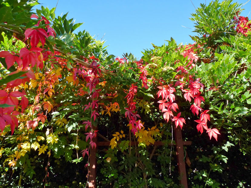  - 2022 - 03 - Toamna