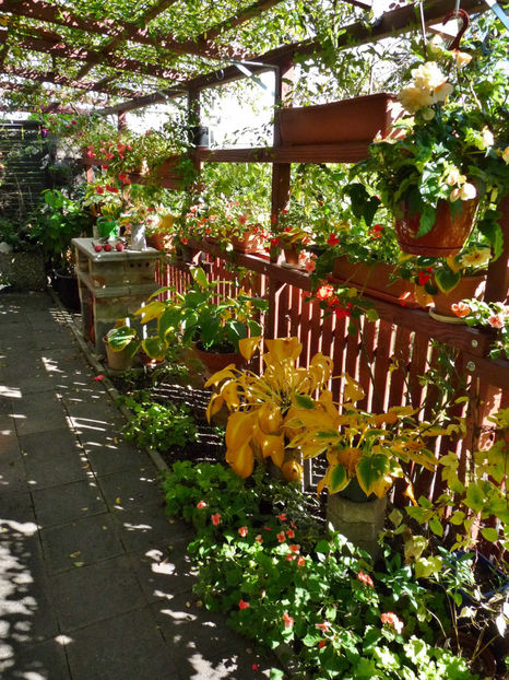  - 2022 - 03 - Toamna