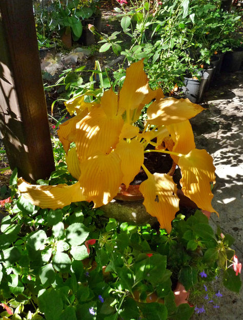  - 2022 - 03 - Toamna