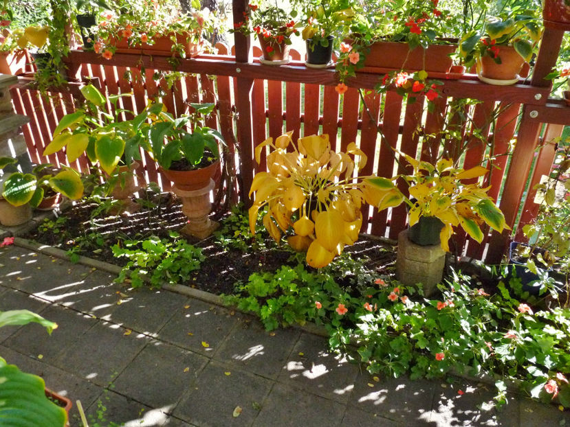  - 2022 - 03 - Toamna