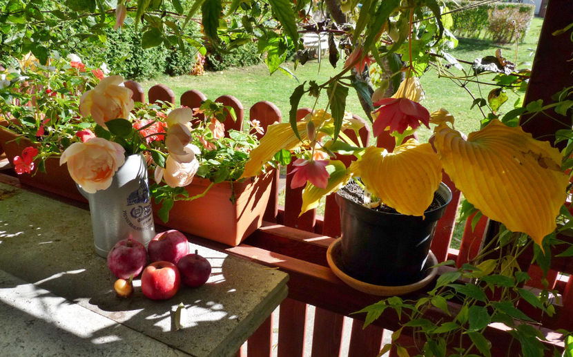  - 2022 - 03 - Toamna