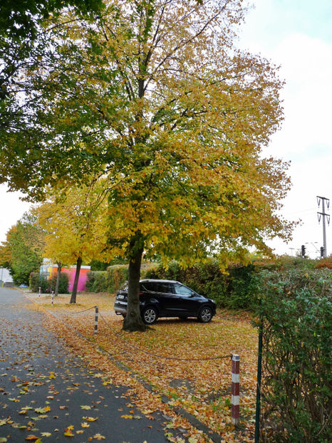  - 2022 - 03 - Toamna