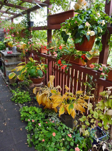  - 2022 - 03 - Toamna