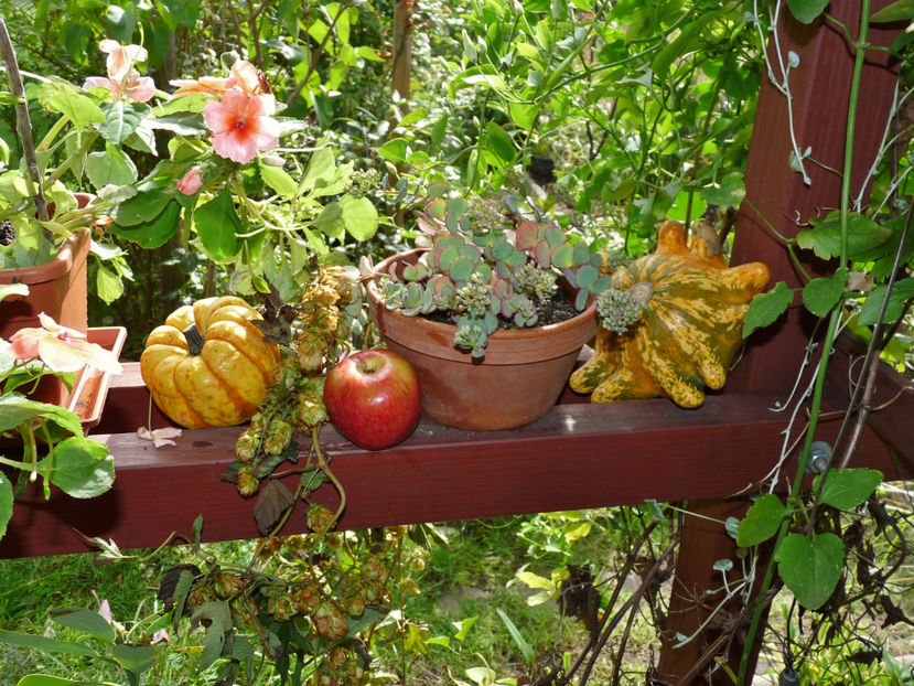  - 2022 - 03 - Toamna