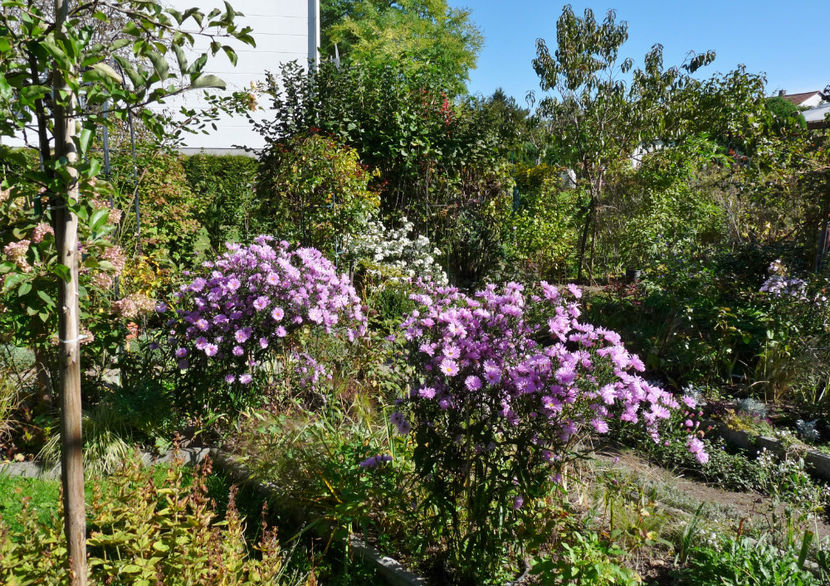  - 2022 - 03 - Toamna