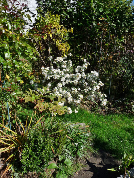  - 2022 - 03 - Toamna